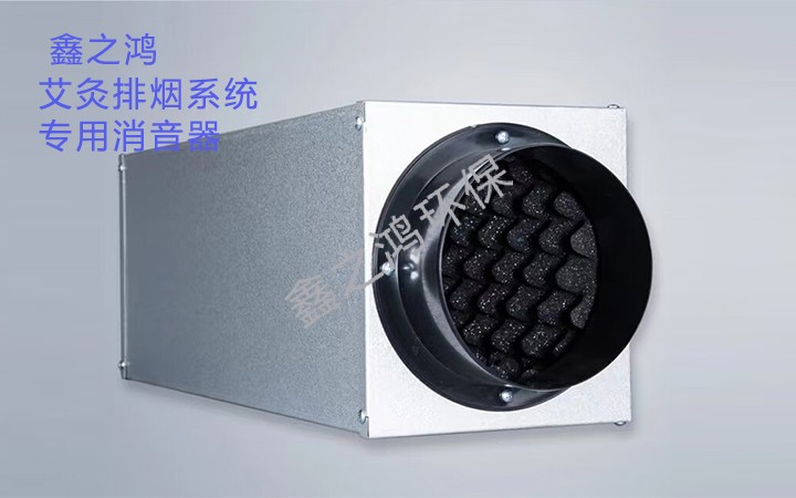 艾灸排煙系統(tǒng)消音器-降噪功能